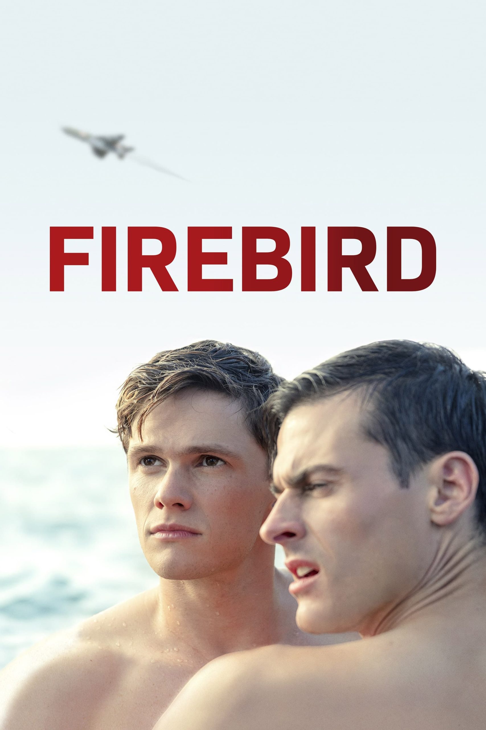 Firebird [Latino] [Mega, 1fichier, MediaFire]